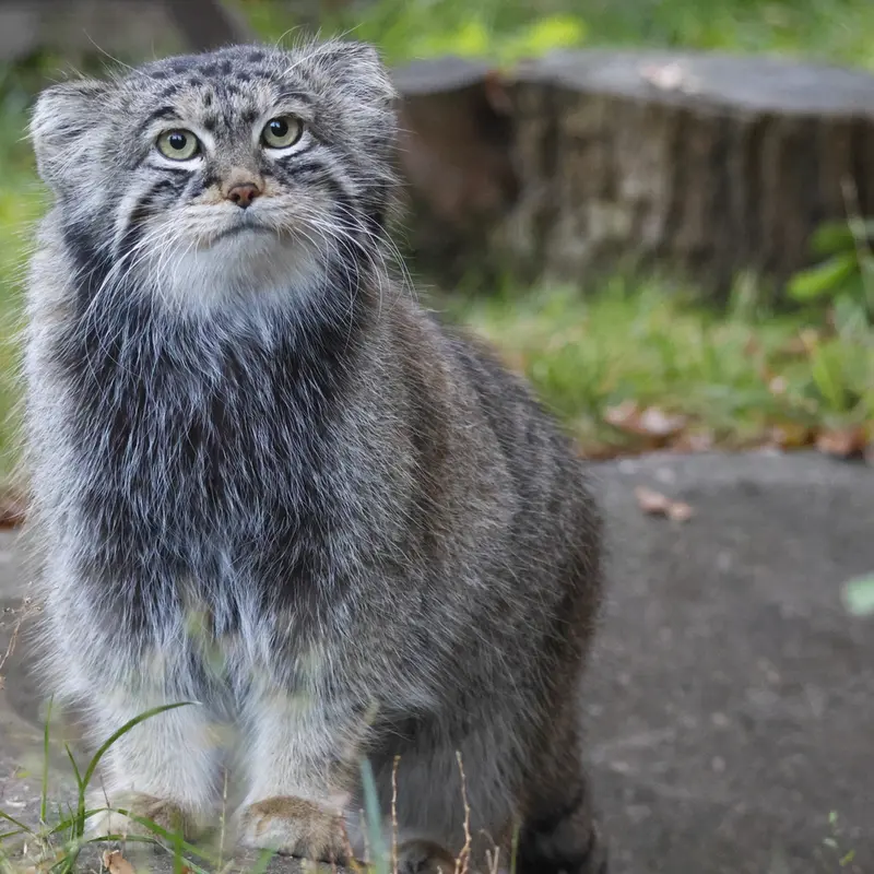 A photograph of Timofey in Moscow zoo