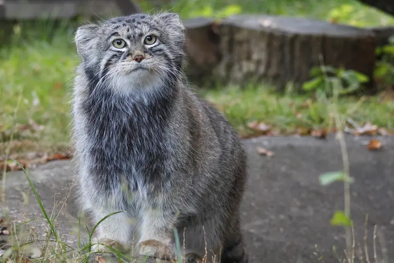 A photograph of Timofey in Moscow zoo