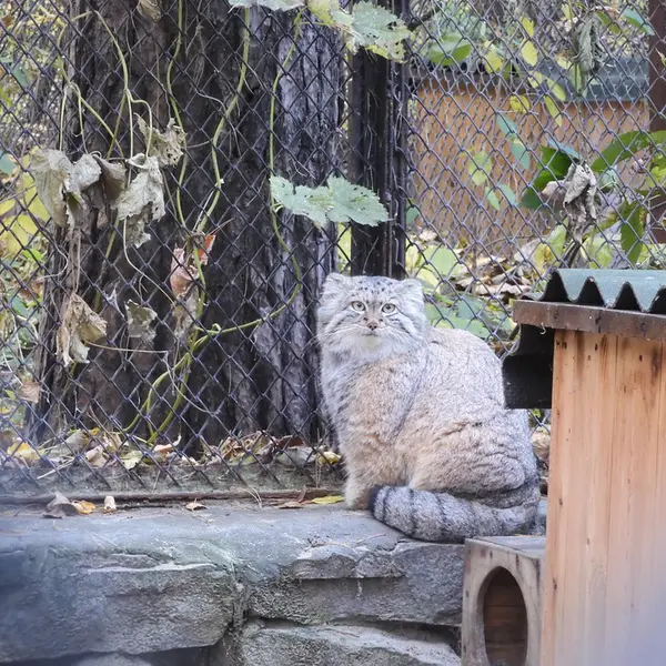 A photograph of Snezhana in Novosibirsk Zoo
