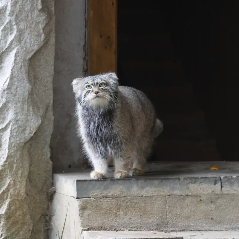 A photograph of Timofey in Moscow zoo