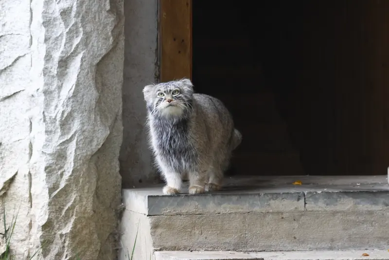 A photograph of Timofey in Moscow zoo