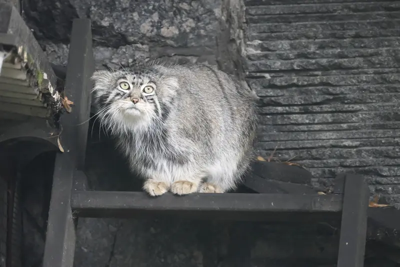 A photograph of Timofey in Moscow zoo