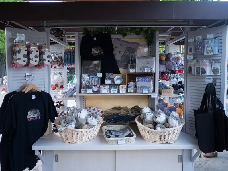 A photograph of a Pallas's cat in Ueno Zoological Gardens