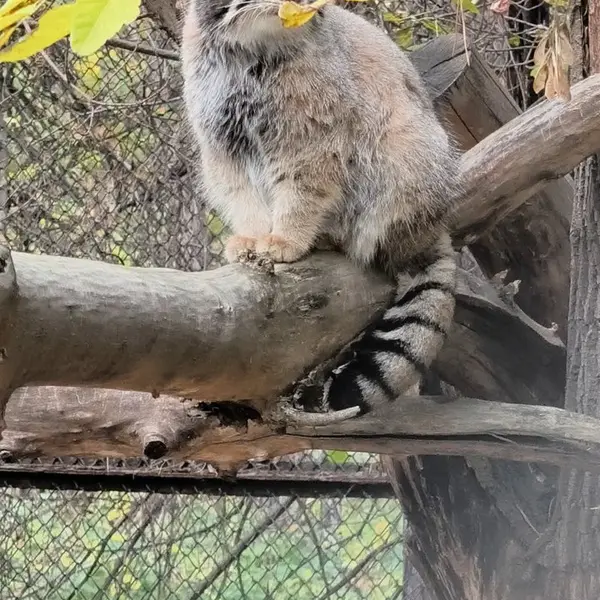A photograph of Eve in Novosibirsk Zoo
