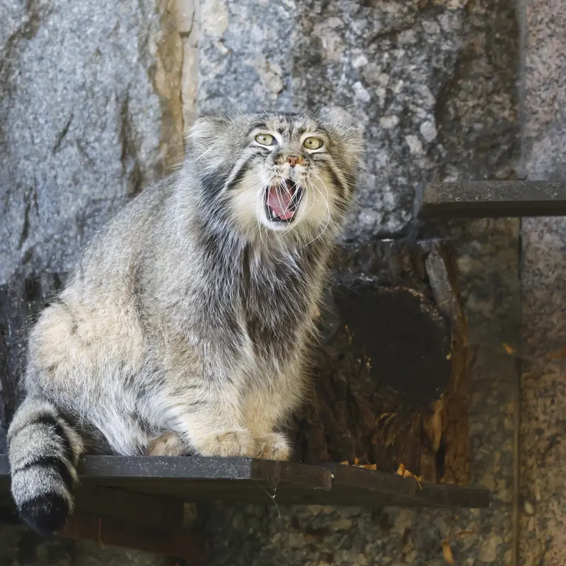 A photograph of Timofey in Moscow zoo