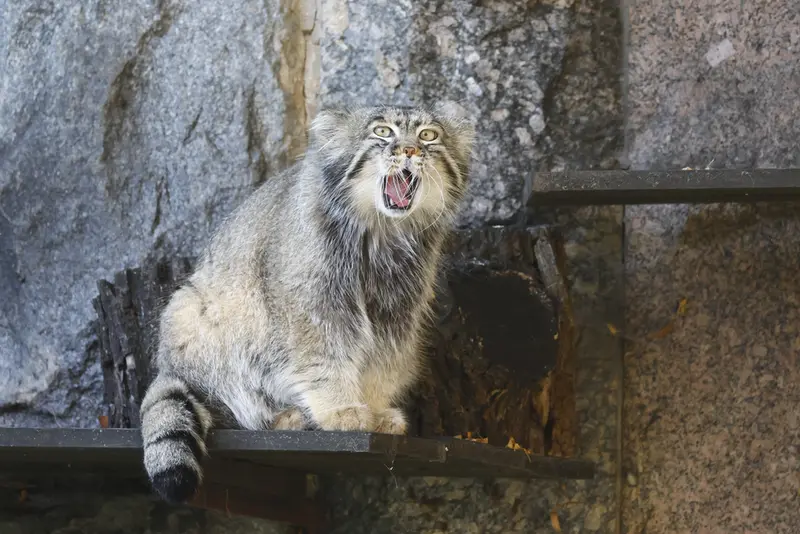 A photograph of Timofey in Moscow zoo