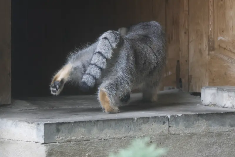 A photograph of Timofey in Moscow zoo