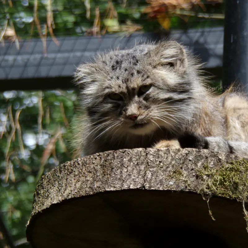 A photograph of Manuel in Gdansk Zoo