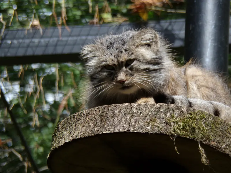 A photograph of Manuel in Gdansk Zoo