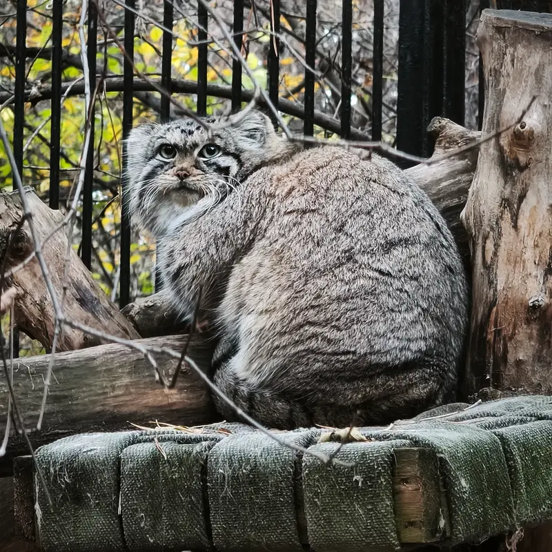 A photograph of Anya in Novosibirsk Zoo