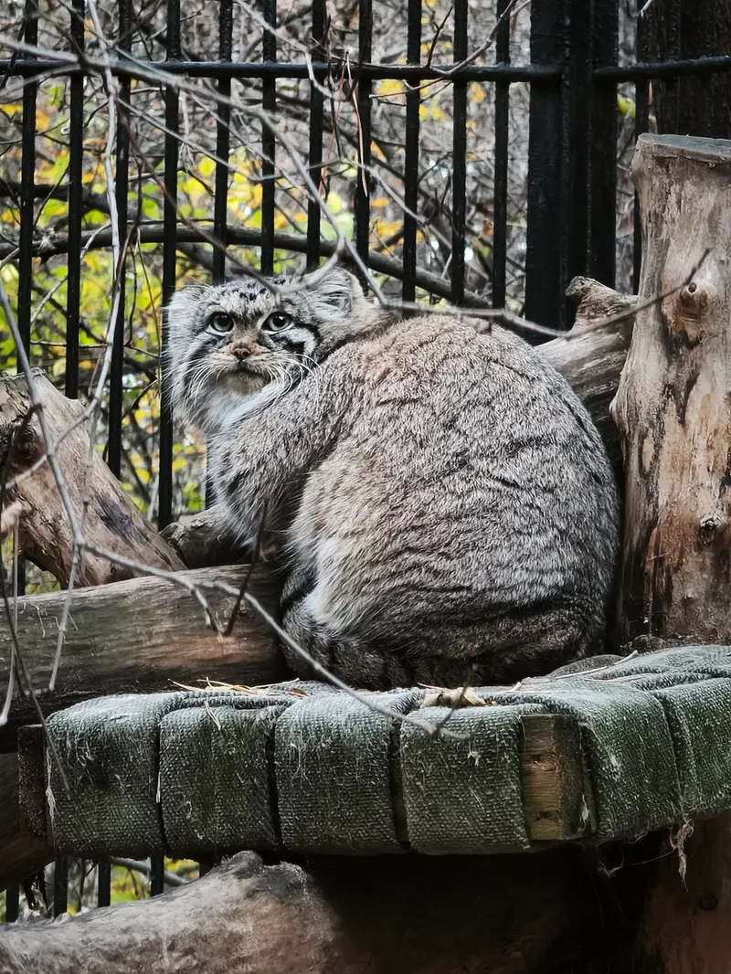 A photograph of Anya in Novosibirsk Zoo