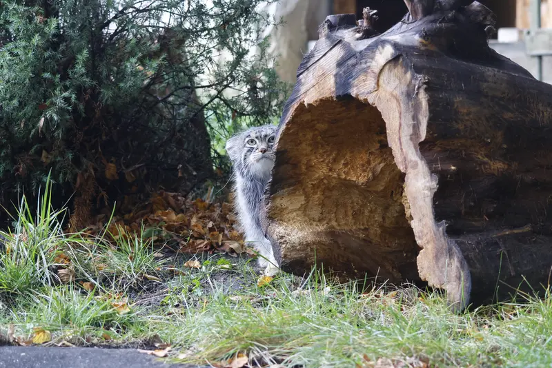 A photograph of Timofey in Moscow zoo
