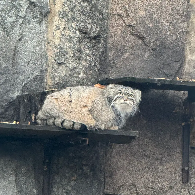 A photograph of Timofey in Moscow zoo
