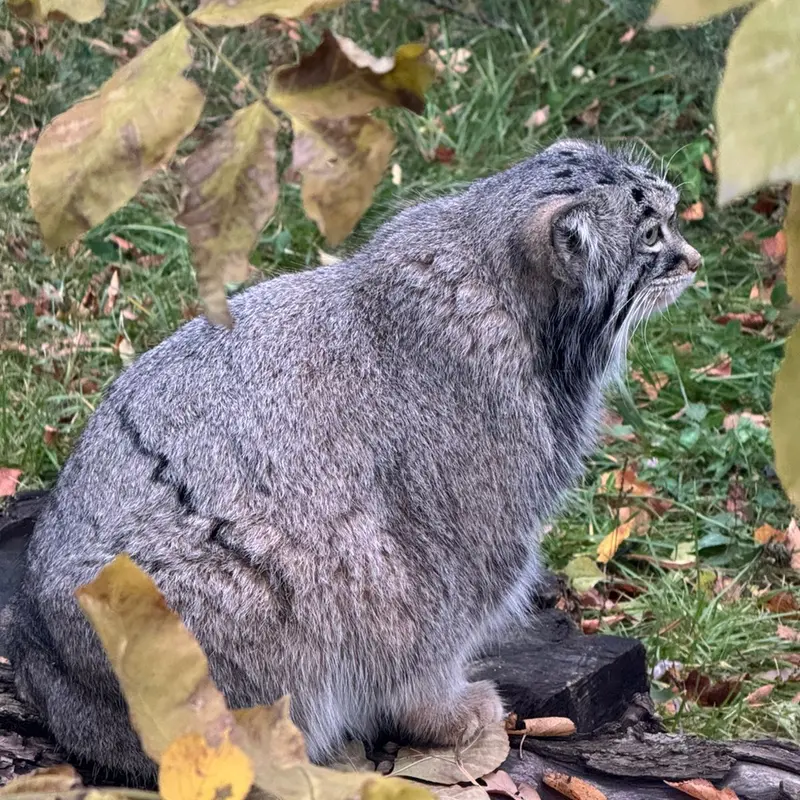 A photograph of Timofey in Moscow zoo