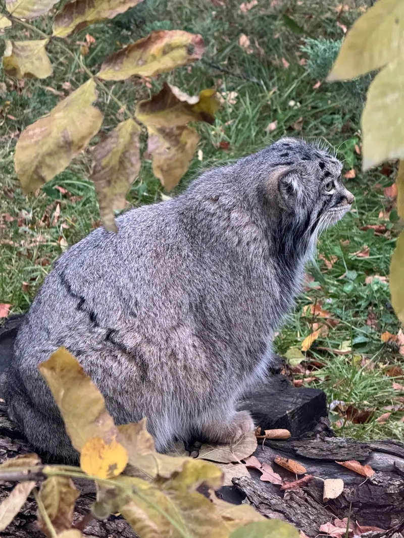 A photograph of Timofey in Moscow zoo