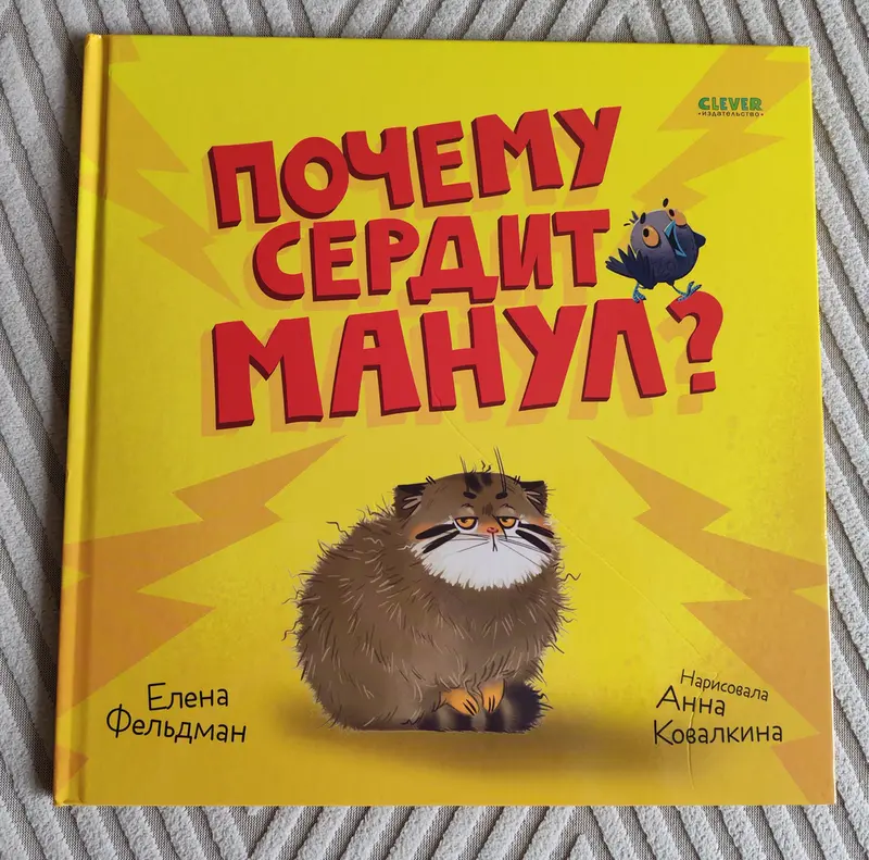 Why Is the Pallas's Cat Angry?