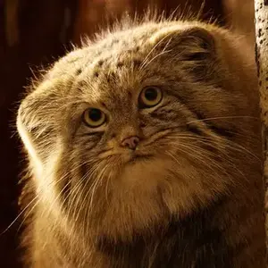 BRO I'M CRYINGF. HE'S ONLY TWO YEARS!!!