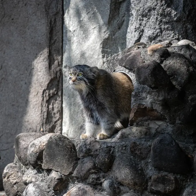 A photograph of Timofey in Moscow zoo