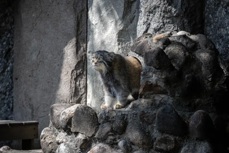 A photograph of Timofey in Moscow zoo