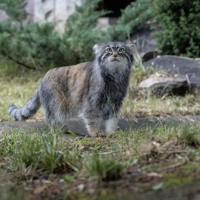 A photograph of Timofey in Moscow zoo