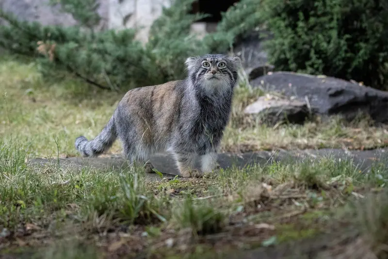A photograph of Timofey in Moscow zoo
