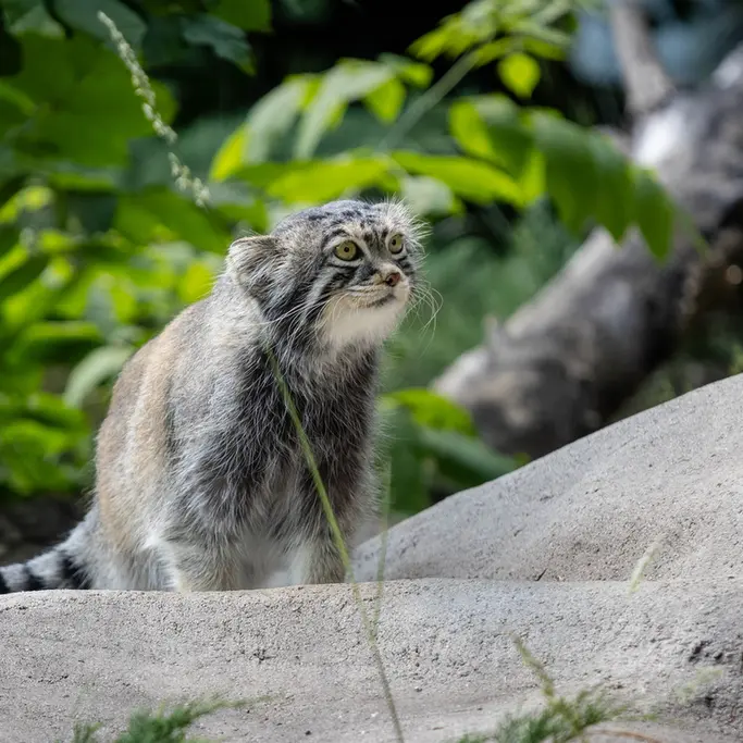 A photograph of Timofey in Moscow zoo
