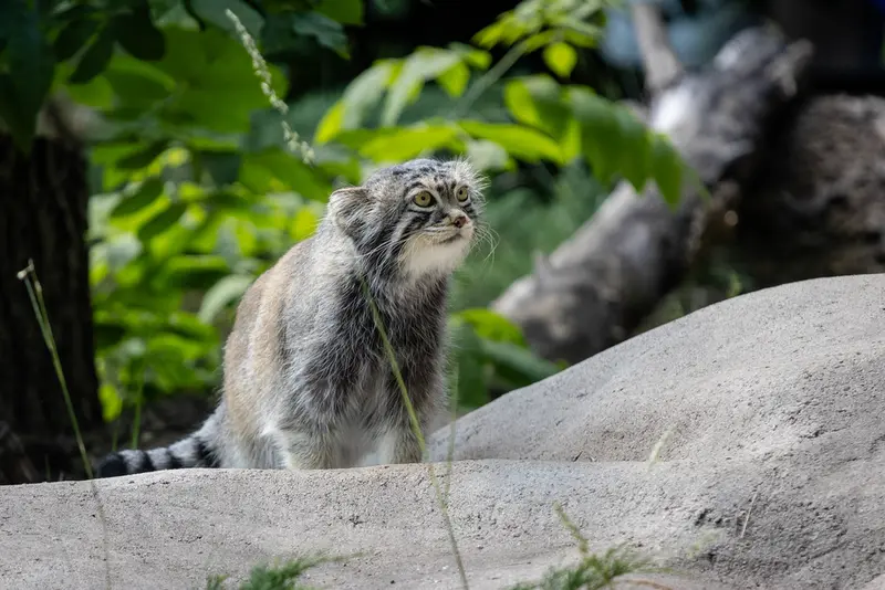 A photograph of Timofey in Moscow zoo