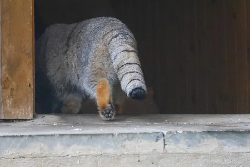 A photograph of Timofey in Moscow zoo