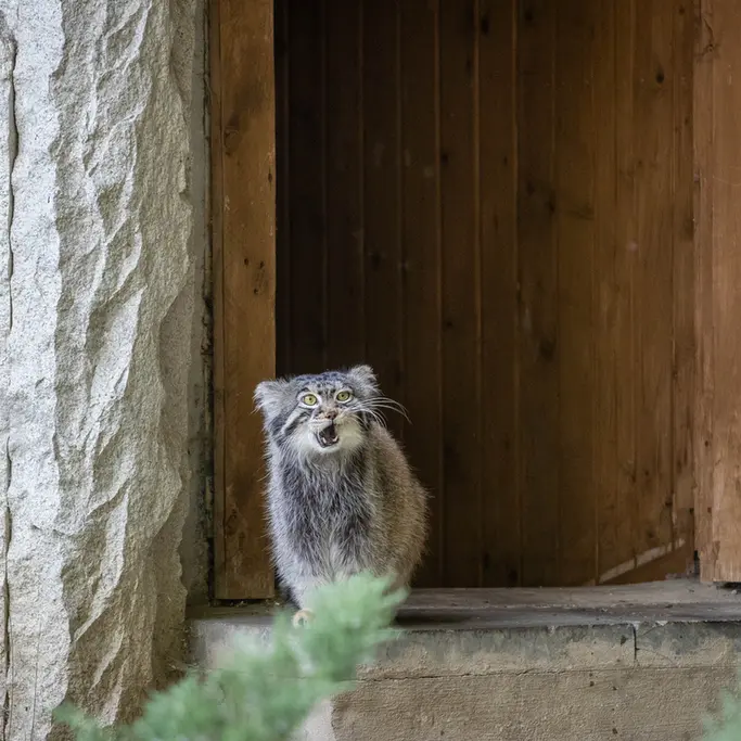 A photograph of Timofey in Moscow zoo