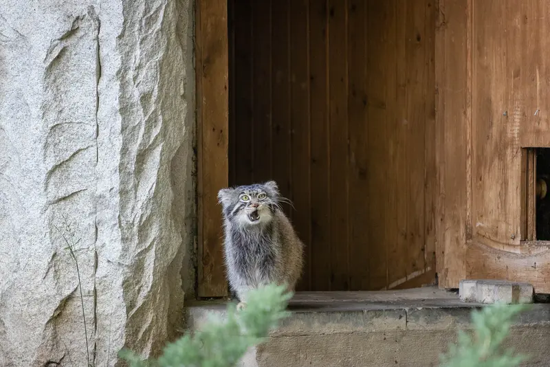 A photograph of Timofey in Moscow zoo