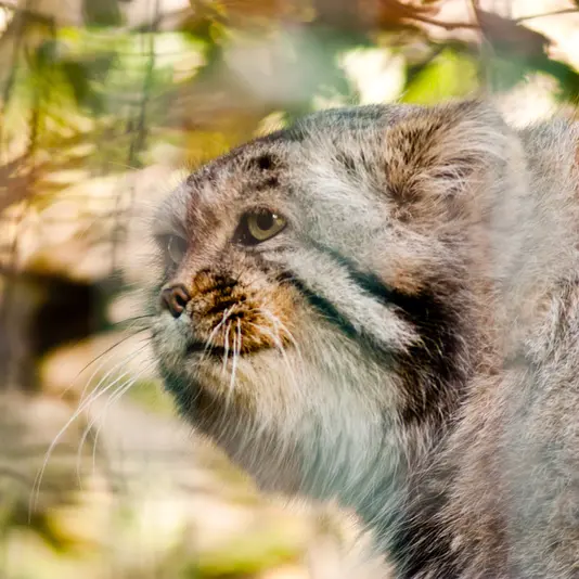 A photograph of Jonathan in Magdeburg Zoo