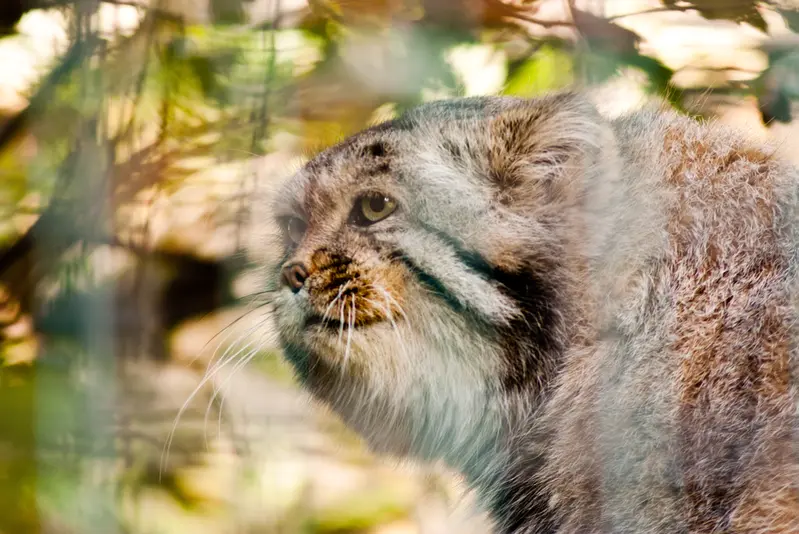 A photograph of Jonathan in Magdeburg Zoo