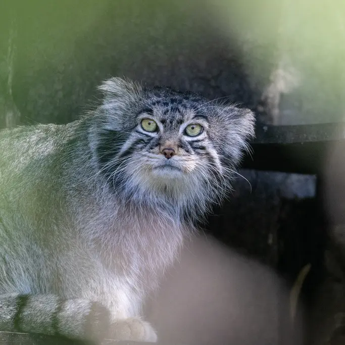 A photograph of Timofey in Moscow zoo