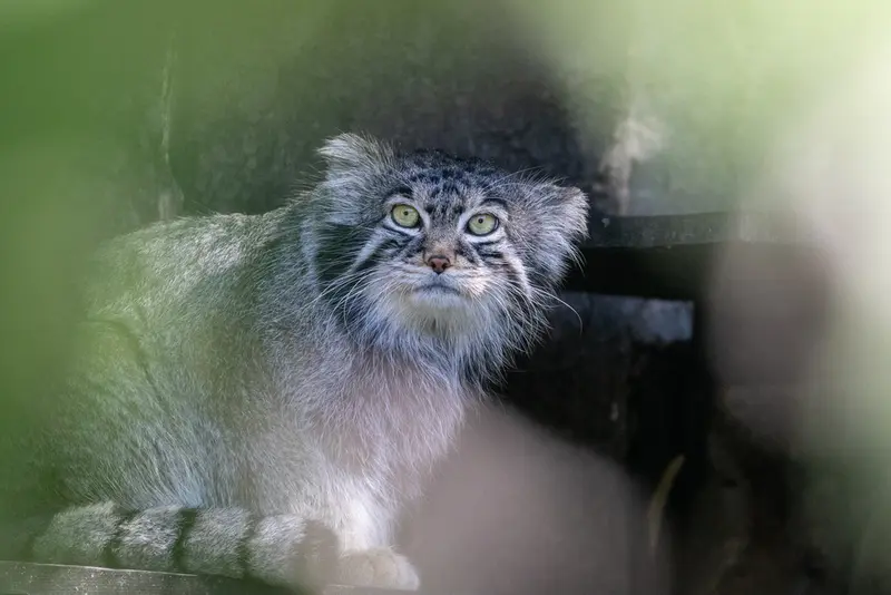 A photograph of Timofey in Moscow zoo