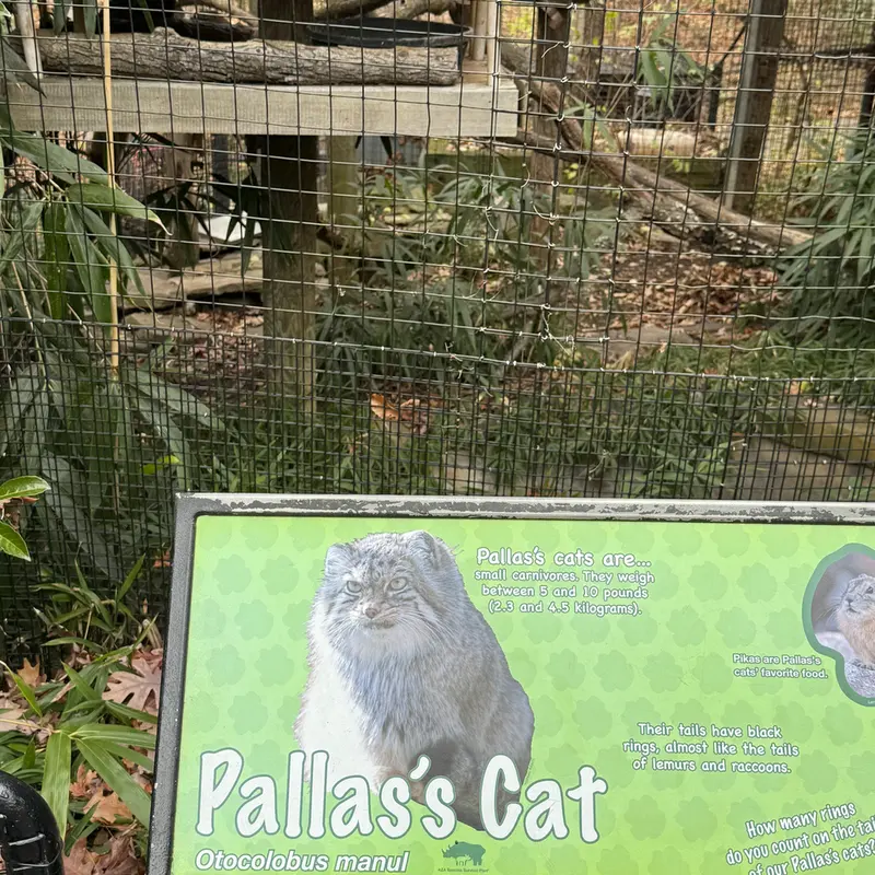 A photograph of Akar in Smithsonian&#039;s National Zoo