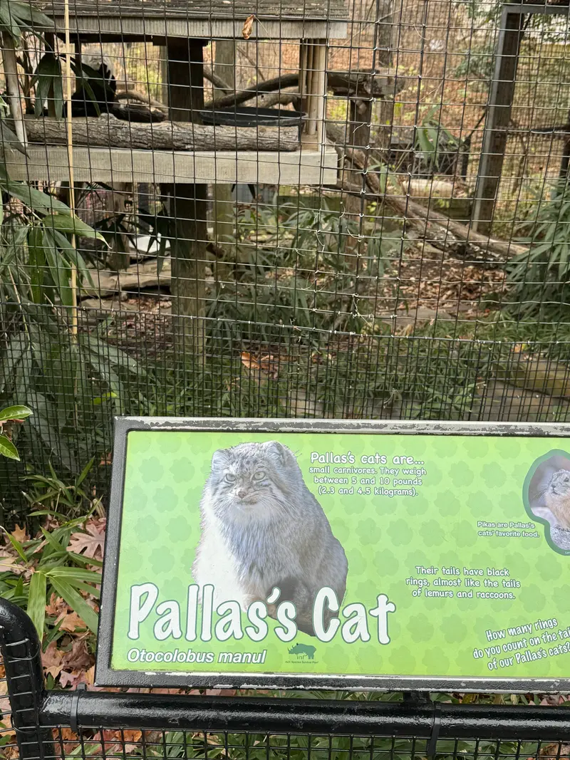 A photograph of Akar in Smithsonian&#039;s National Zoo