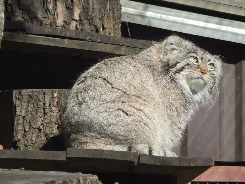 A photograph of Timofey in Moscow zoo