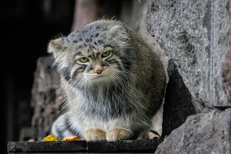A photograph of Timofey in Moscow zoo