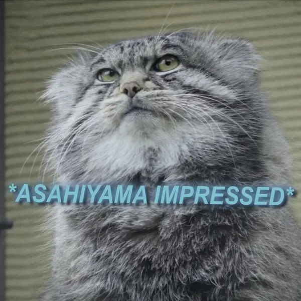 A photograph of a Pallas's cat
