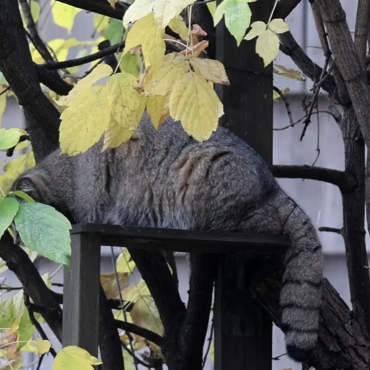 A photograph of Timofey in Moscow zoo