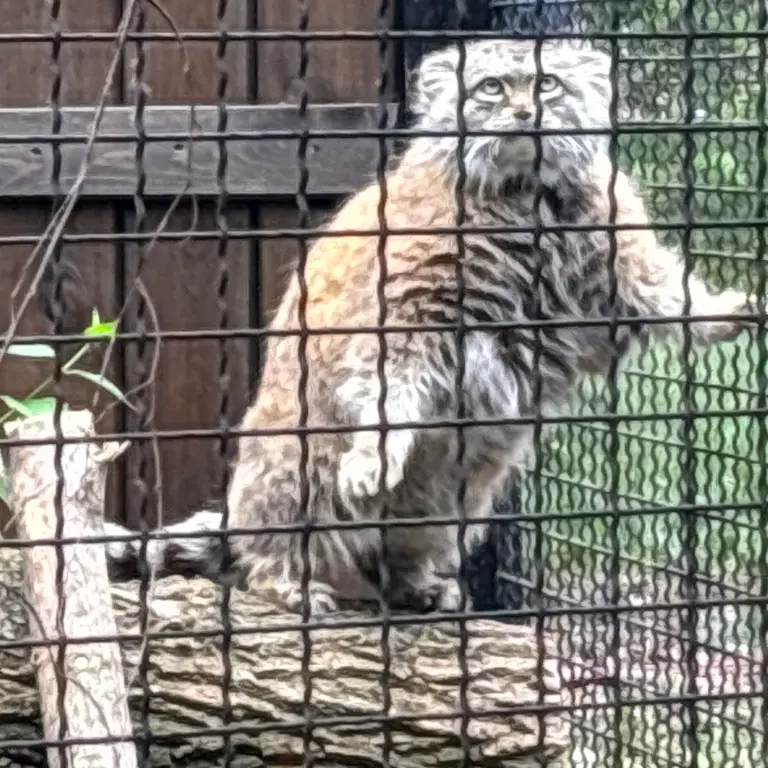 A photograph of Jessie in Warsaw Zoo