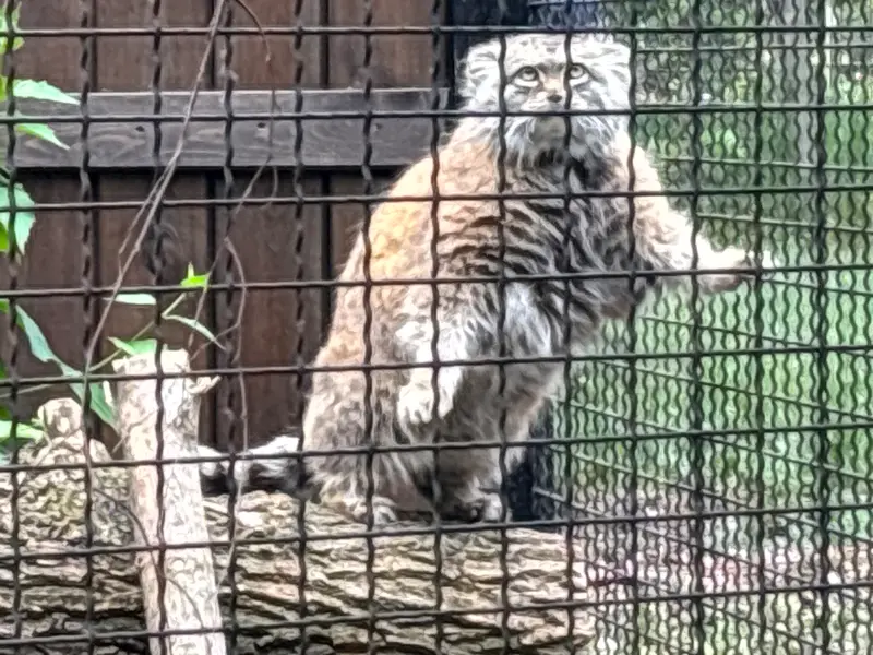 A photograph of Jessie in Warsaw Zoo