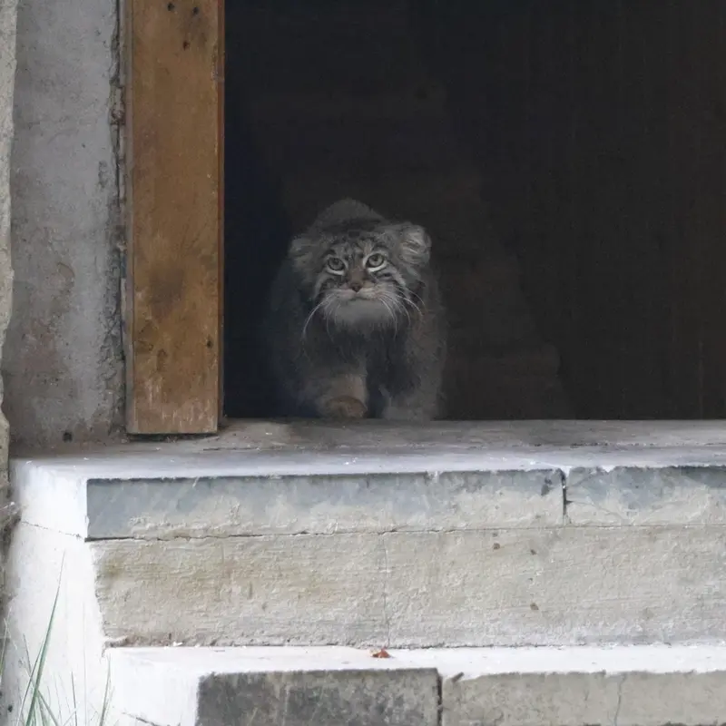 A photograph of Timofey in Moscow zoo
