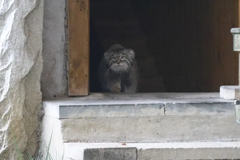 A photograph of Timofey in Moscow zoo