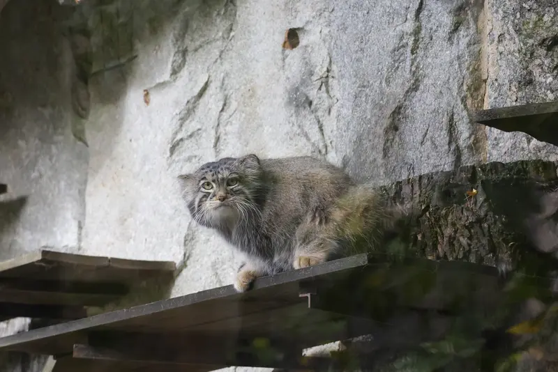 A photograph of Timofey in Moscow zoo
