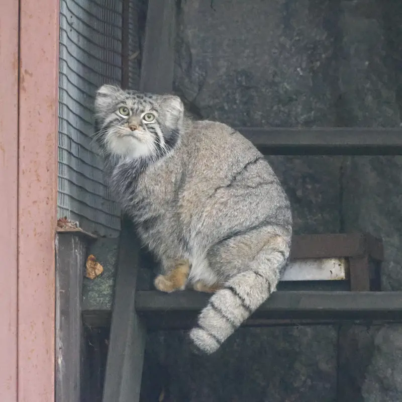 A photograph of Timofey in Moscow zoo