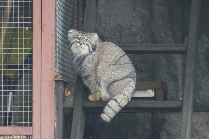 A photograph of Timofey in Moscow zoo