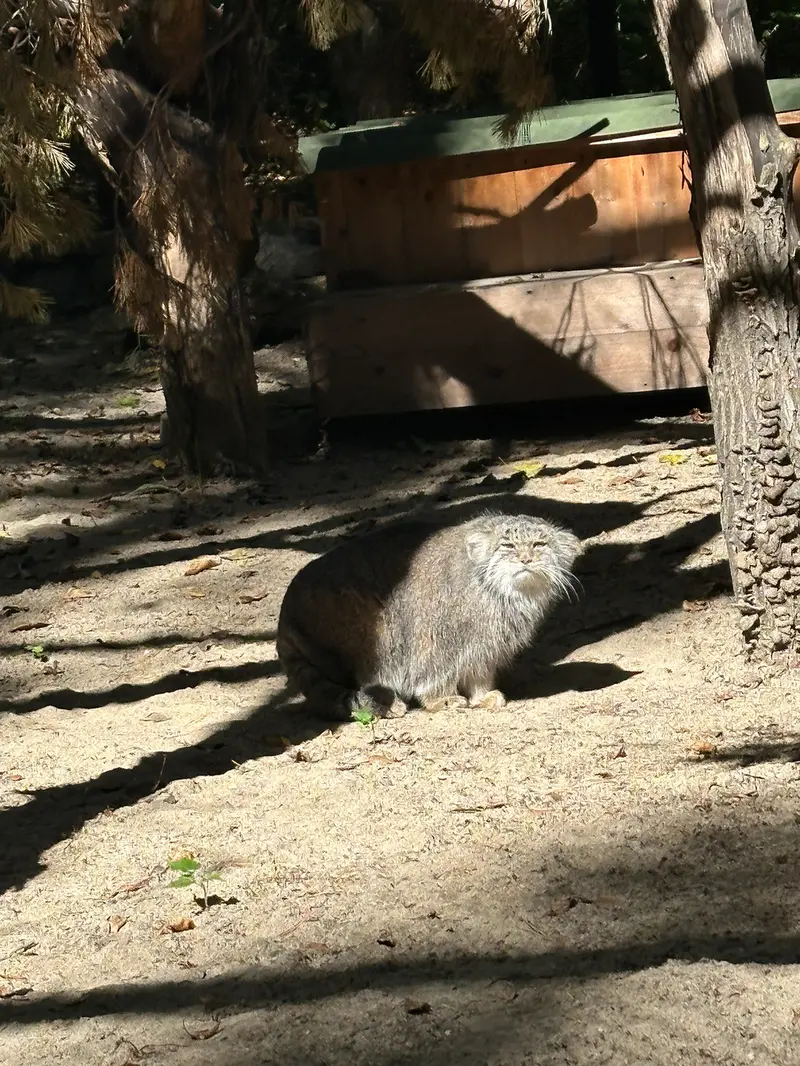 A photograph of Mia in Novosibirsk Zoo
