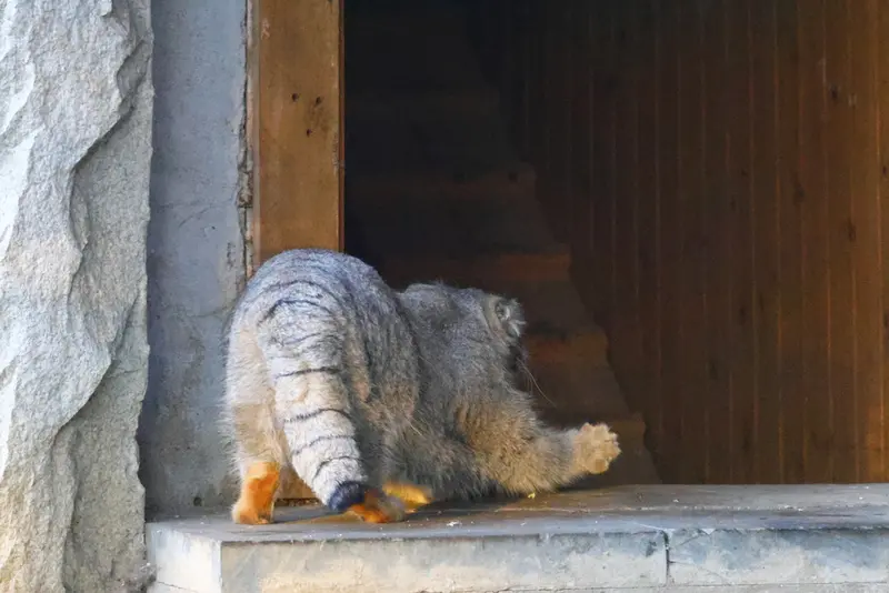 A photograph of Timofey in Moscow zoo