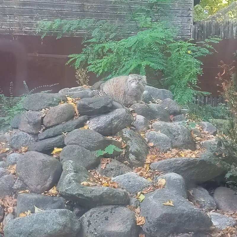 A photograph of Bozenka in Poznan New Zoo